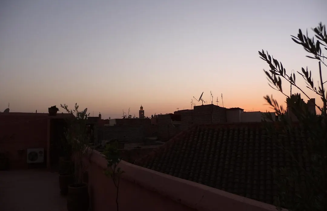 Riad Al Faras-1